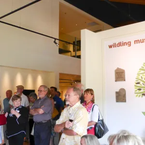 SBBG Patrick OHara art exhibit reception at the Wildling Art Museum