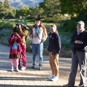 Morning bird walk