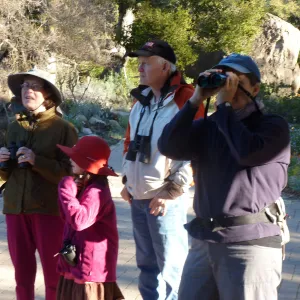 Morning bird walk