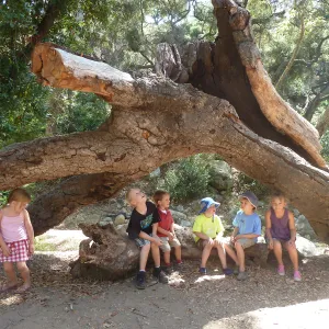 Creek Critters, childrens class