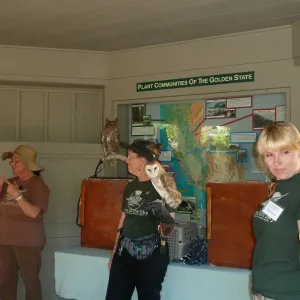 Owl-O-Ween 2012