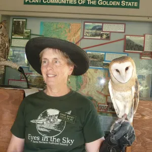 Owl-O-Ween 2012