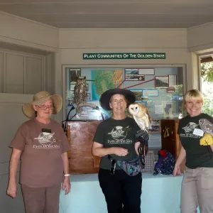 Owl-O-Ween 2012
