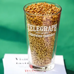Santa Barbara Beer Garden Event, Telegraph Brewing Company glass