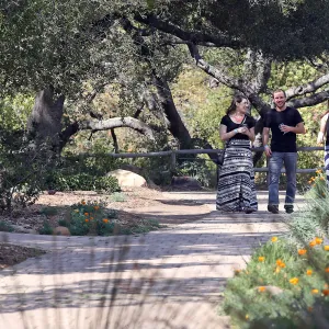 Santa Barbara Beer Garden Event, visitors strolling along the Meadow Oaks pavered path