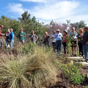 Santa Barbara Beer Garden Event
