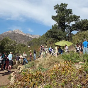 Santa Barbara Beer Garden Event