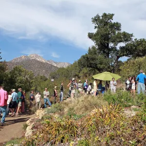 Santa Barbara Beer Garden Event