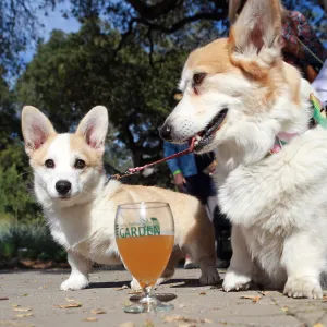 Santa Barbara Beer Garden Event