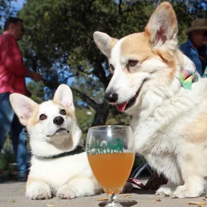 Santa Barbara Beer Garden Event