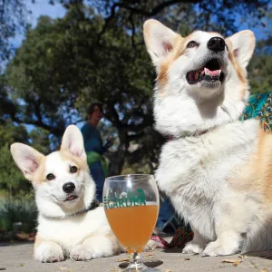 Santa Barbara Beer Garden Event