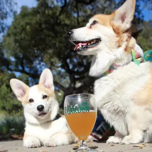 Santa Barbara Beer Garden Event
