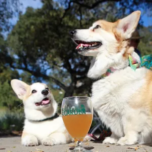 Santa Barbara Beer Garden Event