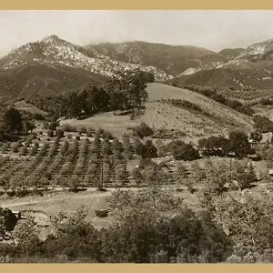 Las Canoas Road Panorama