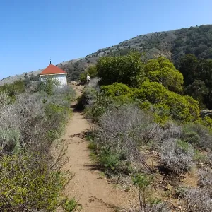Steve Junak Retirement Trip to Santa Cruz Island