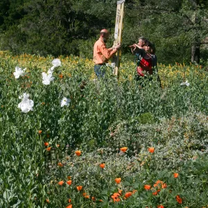 Meadow Repeat Photography Shoot