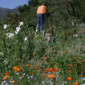 Meadow Repeat Photography Shoot