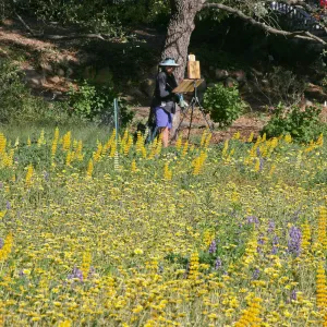 Artists Painting in the Garden