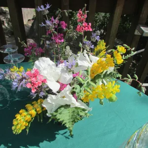 floral arrangement,Wine and Cheese Botanic Lecture Series
