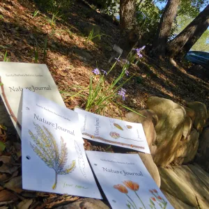 Nature Journals