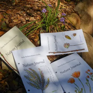 Nature Journals