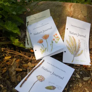 Nature Journals