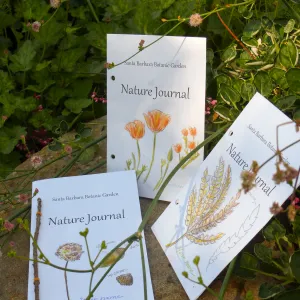 Nature Journals