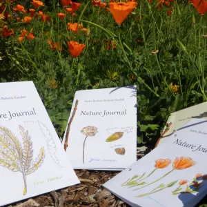 Nature Journals among Poppies