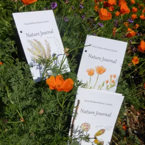 Nature Journals among Poppies