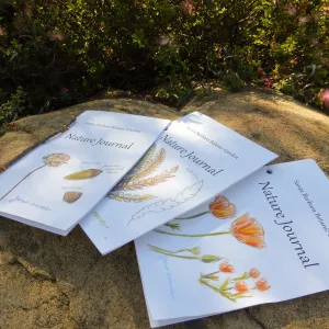 Nature Journals