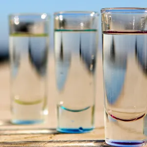 Tequila Sunset 2014