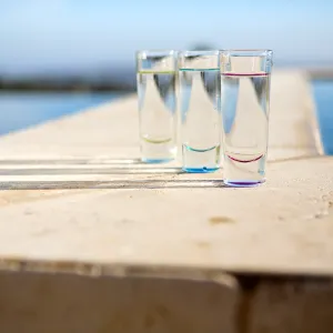 Tequila Sunset 2014