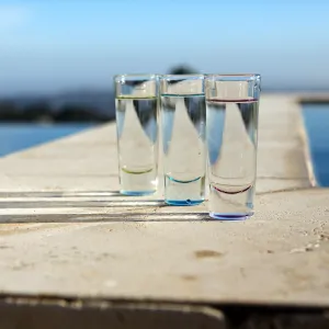 Tequila Sunset 2014
