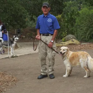 Trails n Tails 2014, Dog Obedience Demonstration