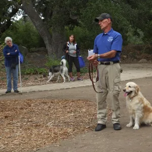 Trails n Tails 2014, Dog Obedience Demonstration