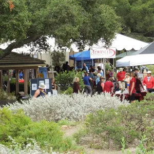 Trails n Tails 2014