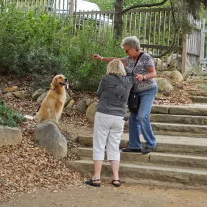 Trails n Tails 2014, Dog Photo Portraits