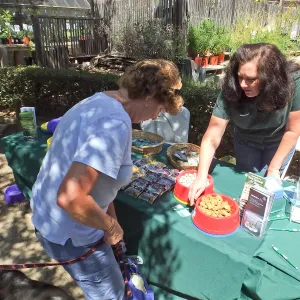 Trails n Tails 2014, Lemos table