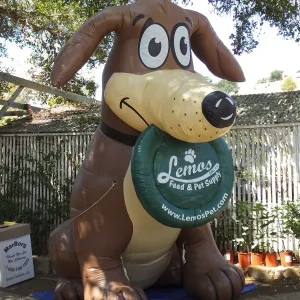 Trails n Tails 2014, Miles, the Lemos Inflatable Dog