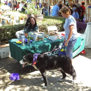 Trails n Tails 2014, Lemos table