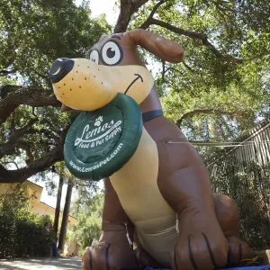 Trails n Tails 2014, Miles, the Lemos Inflatable Dog