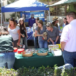 Trails n Tails 2014, Lemos table