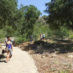 Trails n Tails 2014