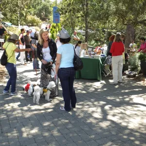 Trails n Tails 2014