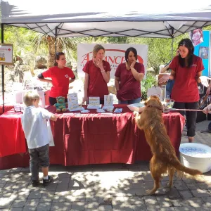 Trails n Tails 2014, Advanced Veterinary Specialists booth