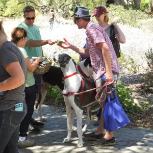 Trails n Tails 2014