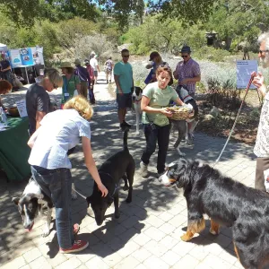Trails n Tails 2014