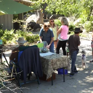 Trails n Tails 2014, Caricature Artist