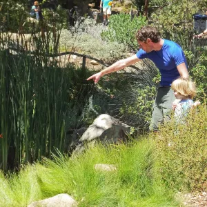 Trails n Tails 2014, father and son at pond