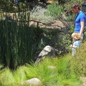 Trails n Tails 2014, father and son at pond